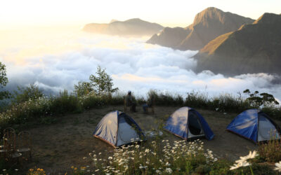 Munnar (3 Nights/4 Days)