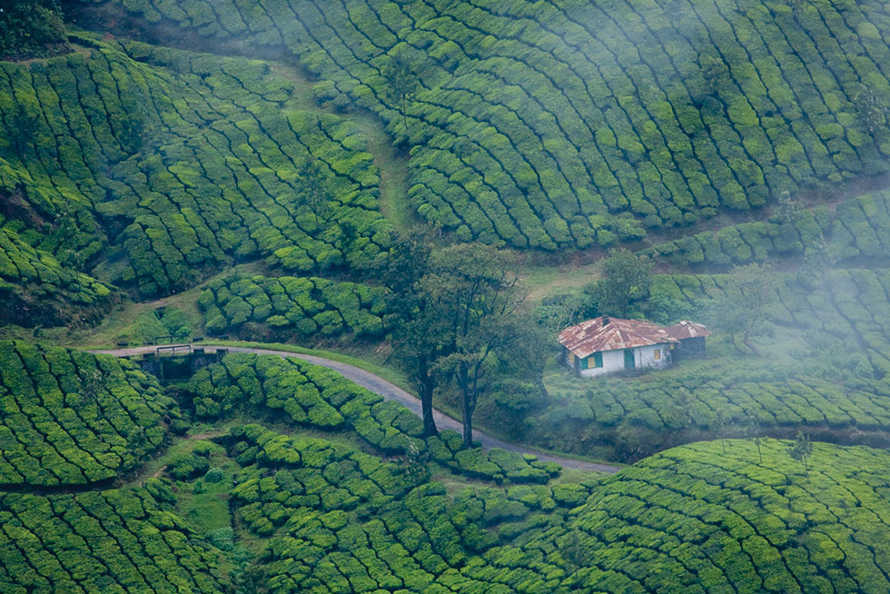 munnar